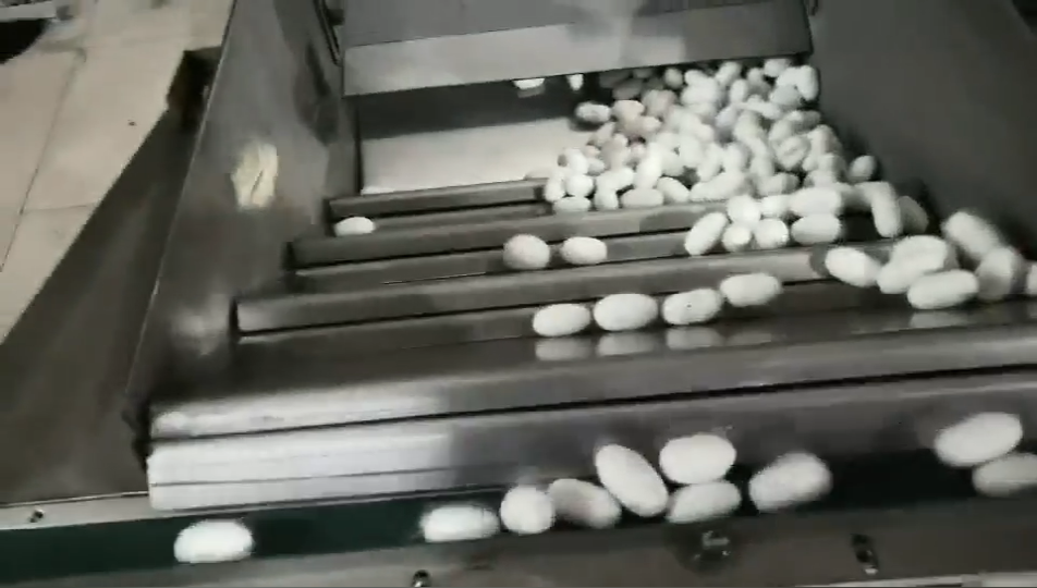 科亞自動化剝蠶蛹機，每分鐘剝90個